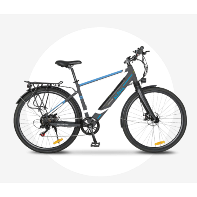 Bici elettrica da città ARGENTO Alpha : Norauto.it