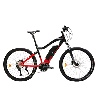 Bici elettrica, bicicletta a pedalata assistita, - Norauto