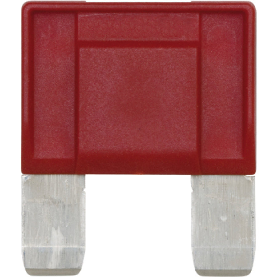Fusibili Maxi Flat 100A – 10 Pezzi, Colore Viola, FBMAX100, Per Auto E Impianti Elettrici